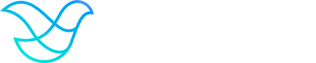 VIDERR logo