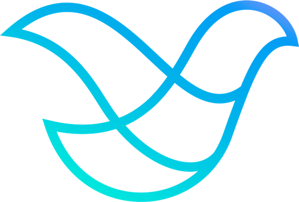 VIDERR bird logo